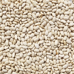 Cannellini Beans ORGANIC