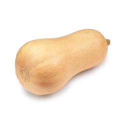 Squash, Butternut Small Flakes: DRUM-DRIED BULK - 2.5lb