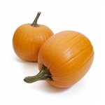 Pumpkin 1/2" Diced: FREEZE-DRIED BULK - 6kg