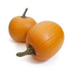 Pumpkin Flakes: DRUM-DRIED BULK - 12lb